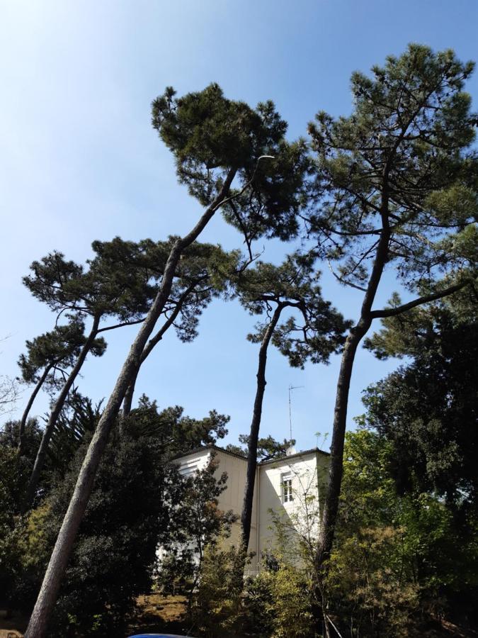 Agreable Studio Ronce Les Bains La Tremblade Exterior foto